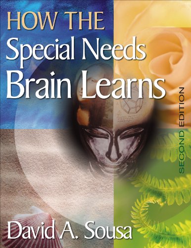 Imagen de archivo de How the Special Needs Brain Learns a la venta por More Than Words