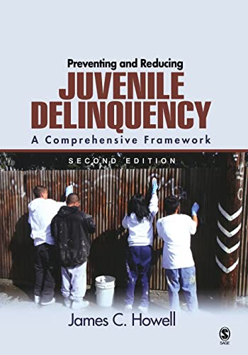 Beispielbild fr Preventing and Reducing Juvenile Delinquency : A Comprehensive Framework zum Verkauf von Better World Books