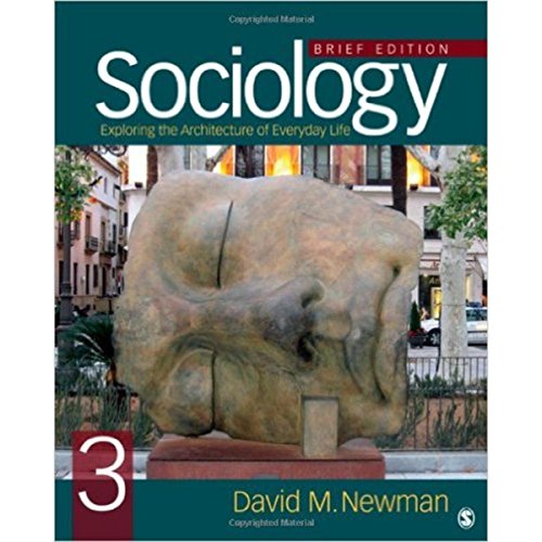 Stock image for Sociology: Exploring the Architecture of Everyday Life, Brief Edition for sale by Hippo Books