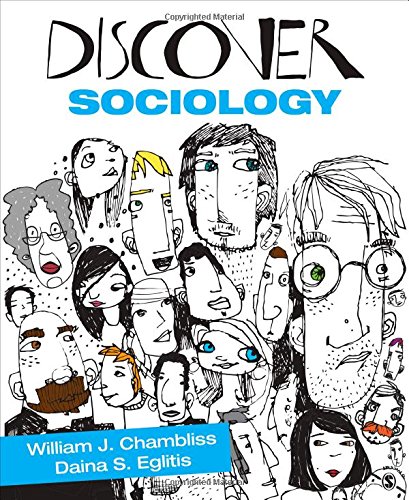 9781412996204: Discover Sociology