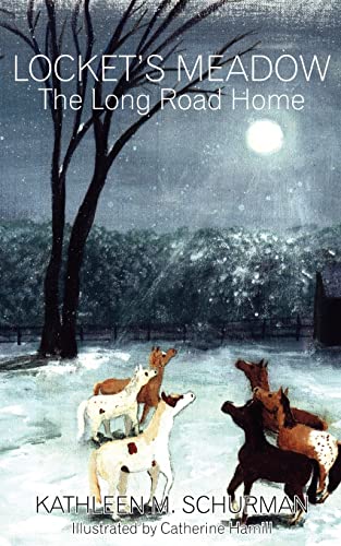 Stock image for Locket's Meadow: The Long Road Home for sale by ThriftBooks-Dallas