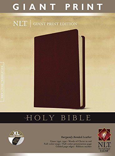 9781414319865: NLT Holy Bible, Giant Print