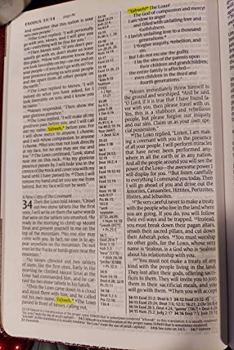 Stock image for Slimline Center Column Reference Bible NLT for sale by Open Books