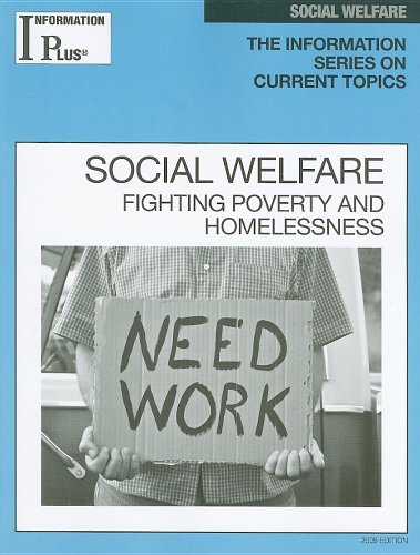 Stock image for Socl Welfare (Information Plus References Series) for sale by Booksavers of MD