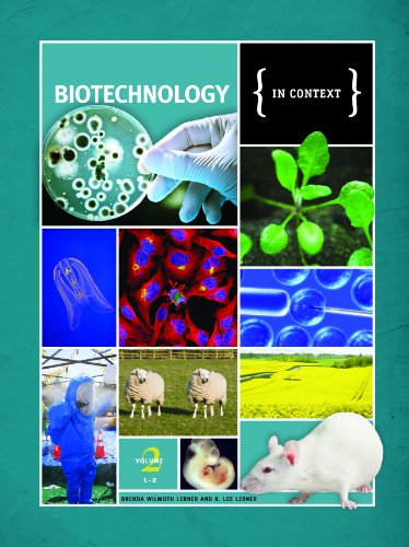 Imagen de archivo de Biotechnology in Context a la venta por Better World Books