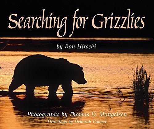 Searching for Grizzlies (9781415627976) by Ron Hirschi