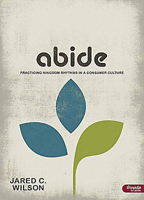 Beispielbild fr ABIDE: PRACTICING KINGDOM RHYTHMS IN A CONSUMER CULTURE - MEMBER BOOK zum Verkauf von Better World Books