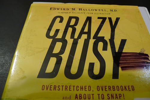 9781415931738: Crazybusy (Lib)(CD)