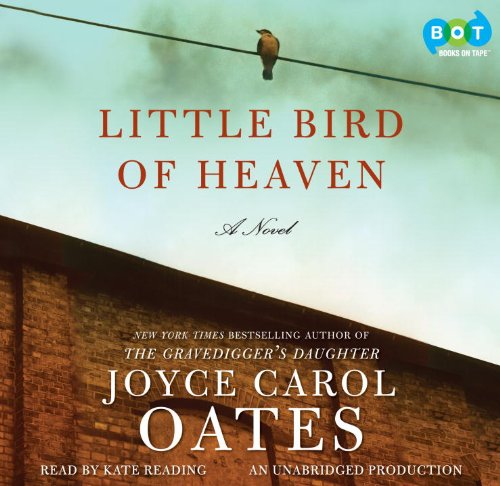Beispielbild fr little bird of heaven a novel zum Verkauf von The Yard Sale Store