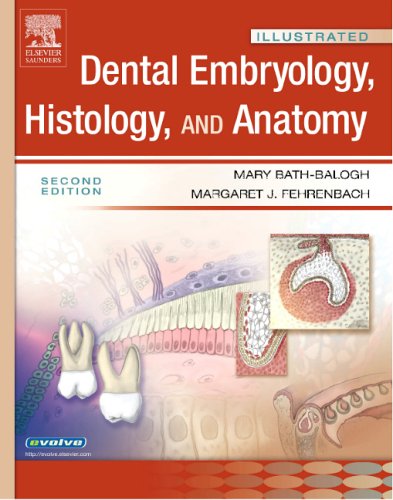 Imagen de archivo de Illustrated Dental Embryology, Histology, and Anatomy a la venta por Better World Books