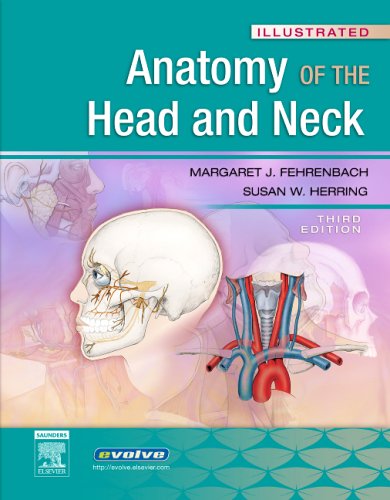Beispielbild fr Illustrated Anatomy of the Head and Neck (Fehrenbach, Illustrated Anatomy of the Head and Neck) zum Verkauf von Goodwill