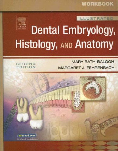 Beispielbild fr Workbook for Illustrated Dental Embryology, Histology, and Anatomy - Revised Reprint zum Verkauf von ThriftBooks-Atlanta