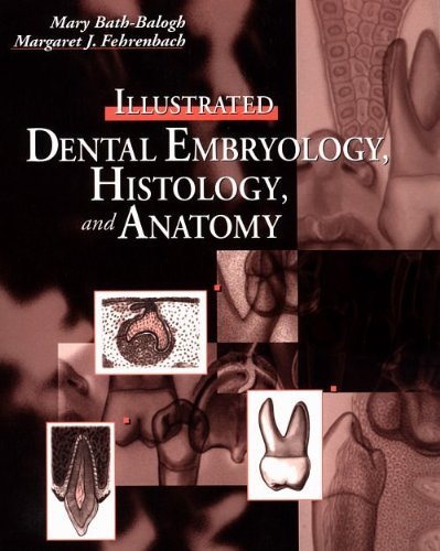 9781416034728: Illustrated Dental Embryology, Histology and Anatomy