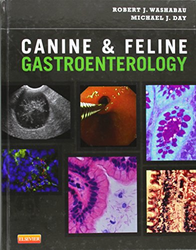 Imagen de archivo de Canine and Feline Gastroenterology a la venta por HPB-Red