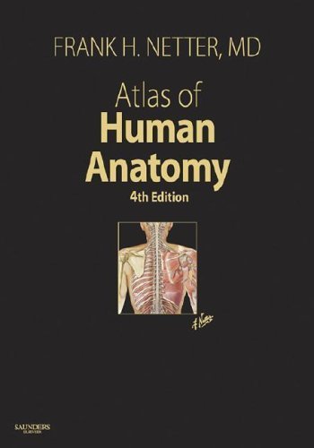 9781416036999: Atlas of Human Anatomy , professional edition , 4th edition (Netter Clinical Science)