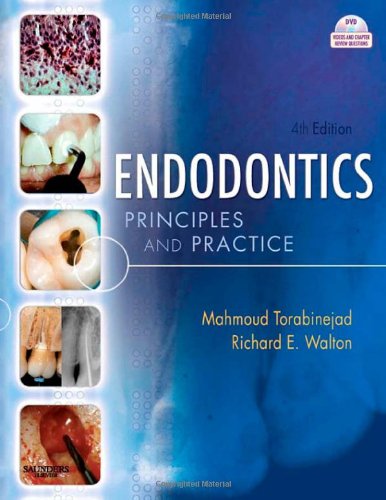 Stock image for Endodontics: Principles and Practice for sale by Book Deals