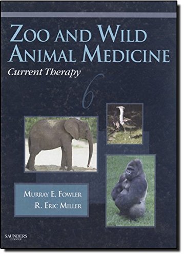 Stock image for Zoo and Wild Animal Medicine Current Therapy for sale by Book Deals