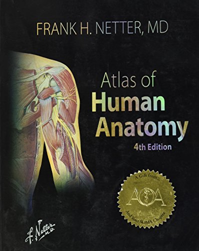 Stock image for Atlas of Human Anatomy (4th International Edition) for sale by SecondSale