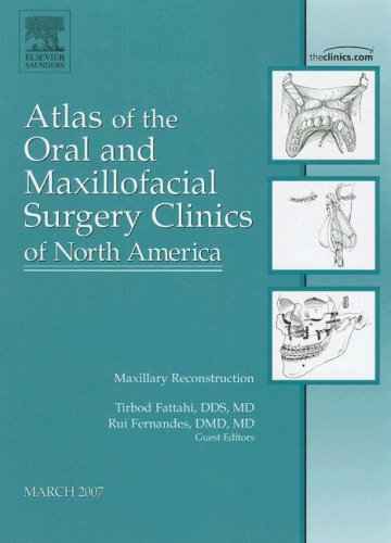 Stock image for Maxillary Reconstruction (Atlas of the Oral and Maxillofacial Surgery Clinics of North America) for sale by Lexington Books Inc