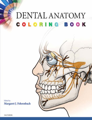 9781416047896: Dental Anatomy Coloring Book