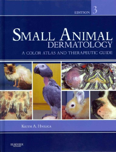 9781416056638: Small Animal Dermatology: A Color Atlas and Therapeutic Guide