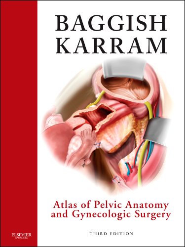 Stock image for Atlas of Pelvic Anatomy and Gynecologic Surgery (Baggish, Atlas of Pelvic Anatomy and Gyncecologic Surgery) for sale by HPB-Red
