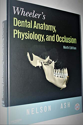 9781416062097: Wheeler's Dental Anatomy, Physiology and Occlusion