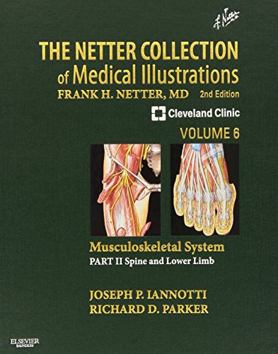 Stock image for The Netter Collection of Medical Illustrations: Musculoskeletal System, Volume for sale by ZBK Books