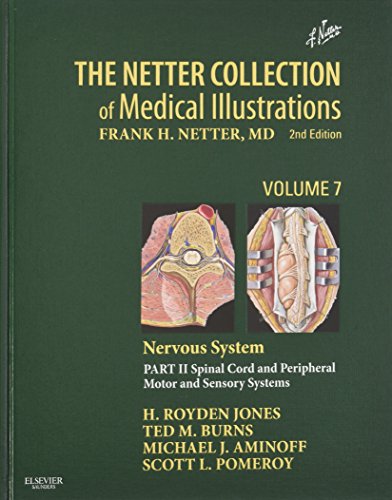 Stock image for The Netter Collection of Medical Illustrations: Nervous System, Volume 7, Part II - Spinal Cord and Peripheral Motor and Sensory Systems: Part II - . Disorders (Netter Green Book Collection) for sale by HPB-Red