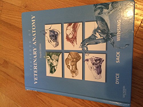 Imagen de archivo de Textbook of Veterinary Anatomy a la venta por Books Unplugged