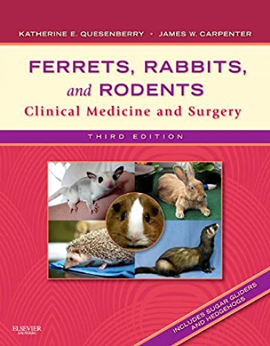 Beispielbild fr Ferrets, Rabbits, and Rodents: Clinical Medicine and Surgery zum Verkauf von Kimmies Collection