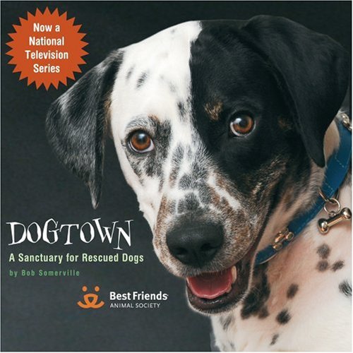 9781416205265: Dogtown: A Sanctuary for Rescued Dogs: Where Canines Come First