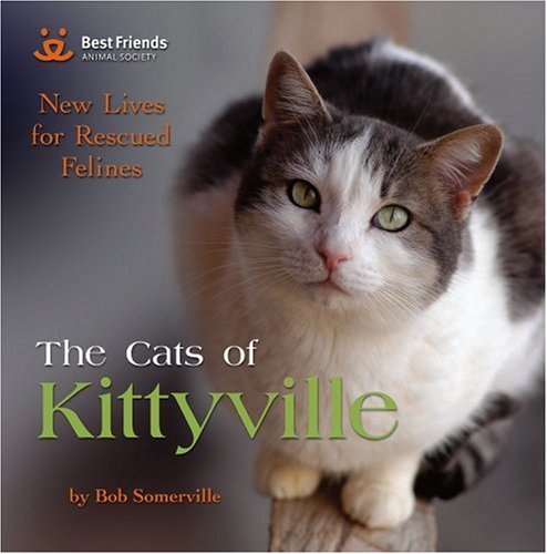 Stock image for The Cats of Kittyville : New Lives for Rescued Felines for sale by Better World Books: West