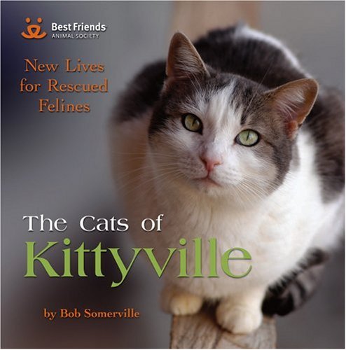 CATS OF KITTYVILLE: New Lives For Rescued Felines (H)