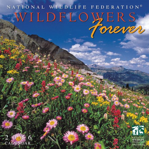 Wildflowers 2006 Calendar (9781416210436) by National Wildlife Federation