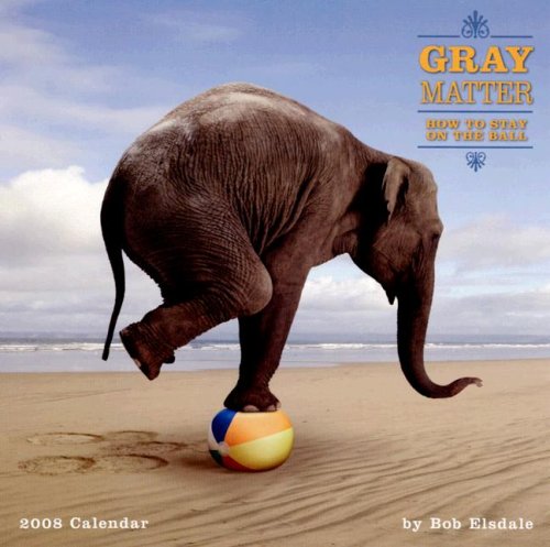 Gray Matter: How to Stay on the Ball 2008 Wall Calendar (9781416214014) by Bob Elsdale