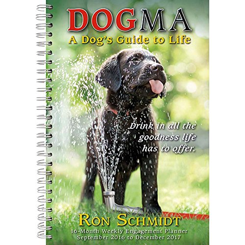 Stock image for Dogma 2017 Engagement Calendar for sale by Irish Booksellers