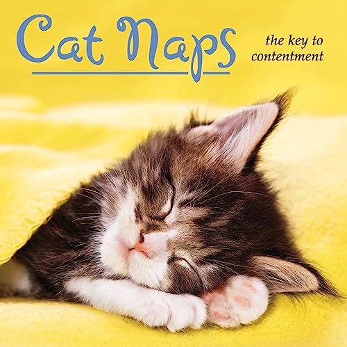 Stock image for Cat Naps: The Key to Contentment for sale by Front Cover Books