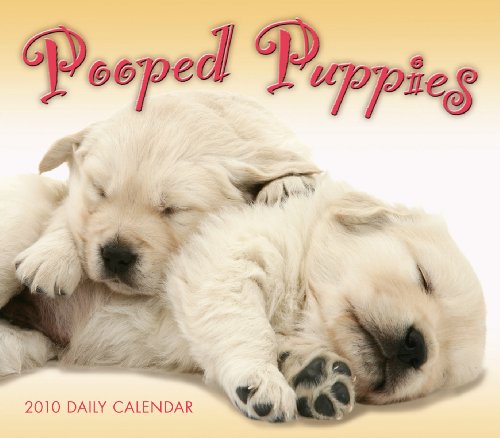 9781416283843: Pooped Puppies 2010 Calendar