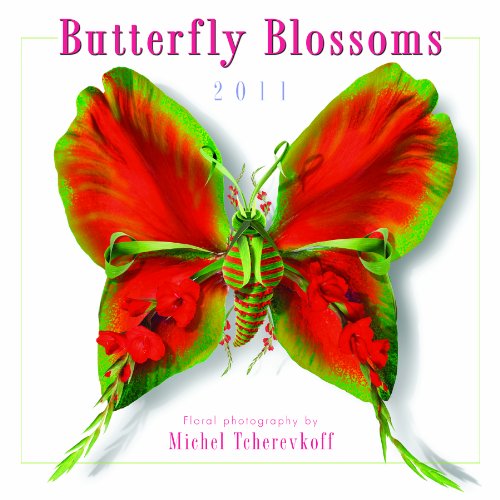 9781416284895: Butterfly Blossoms 2011 Calendar