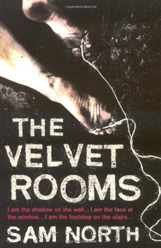 Imagen de archivo de The Velvet Rooms a la venta por ThriftBooks-Atlanta