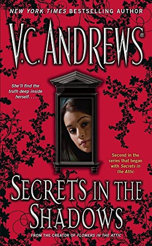 9781416530831: Secrets in the Shadows (Secrets Series)