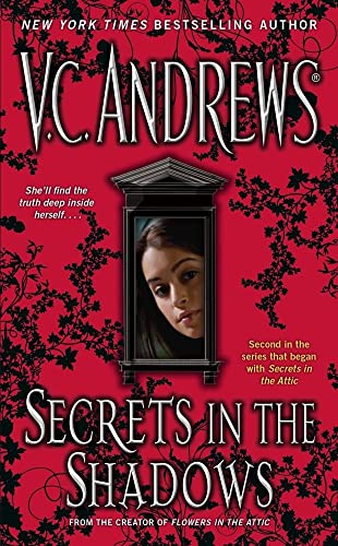 Stock image for Secrets in the Shadows for sale by Top Notch Books