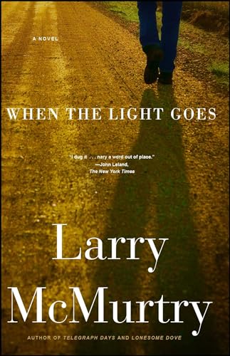9781416534273: When the Light Goes: A Novel
