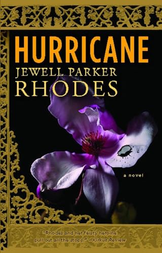 9781416537120: Hurricane: A Novel