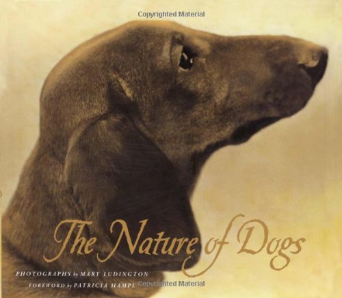 Beispielbild fr The Nature of Dogs zum Verkauf von Magers and Quinn Booksellers