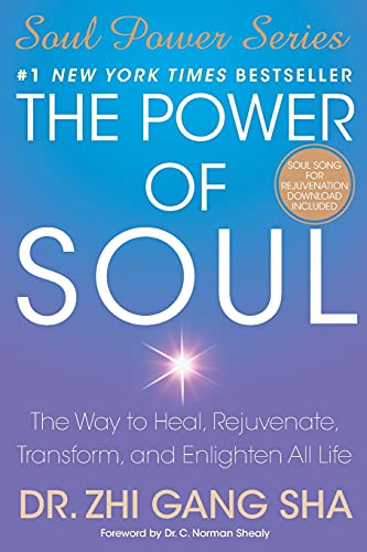 Imagen de archivo de The Power of Soul: The Way to Heal, Rejuvenate, Transform, and Enlighten All Life (Soul Power) a la venta por Your Online Bookstore