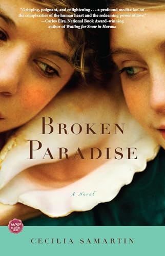 9781416550396: Broken Paradise: A Novel