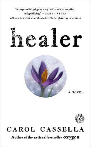 Stock image for Healer: A Novel for sale by SecondSale