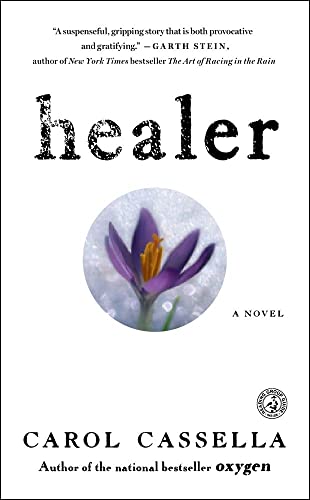 9781416556145: Healer: A Novel